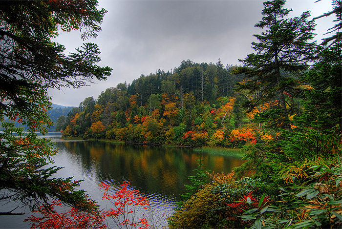 oze national park autumn